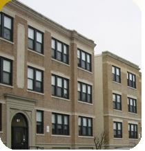 Blue Hill Ave International